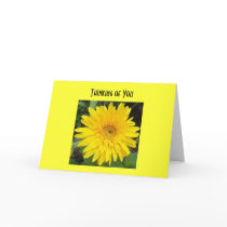 yellowgerberdaisy, Thinking of You Greeting Card