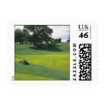 yellowhill stamp