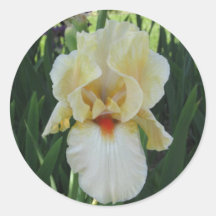 yellowiris round stickers