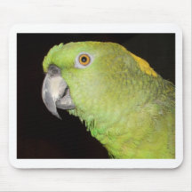 Yellownape Amazon Mousepad