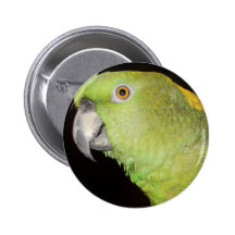 Yellownape Amazon Pinback Buttons