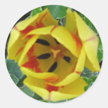 yellowredtulip stickers