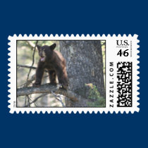 Yellowstone Bear Cub postage