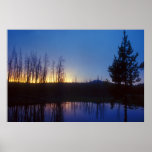 Yellowstone Beaver Pond Poster