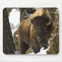 Yellowstone Bison Bull in Winter - Customized Mouse Mat