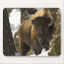 Yellowstone Bison Bull in Winter - Customized Mouse Mat