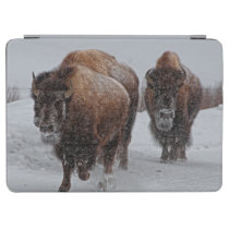 Yellowstone Bison iPad Air Cover at Zazzle
