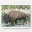 Yellowstone Bison mousepads