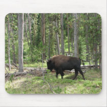 Yellowstone Bison Mouse Pads