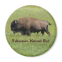 Yellowstone Buffalo Magnet