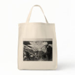Yellowstone Canyon - Vintage 1871 Photo bags