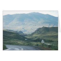Yellowstone cards