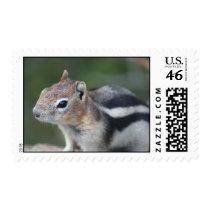Yellowstone Chipmunk postage