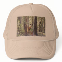 Yellowstone Deer hats by Animal_Anticipation Yellowstone Deer hats