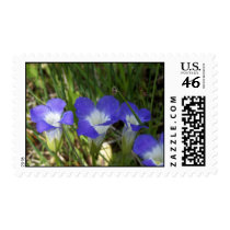 Yellowstone Flower postage