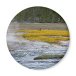 Yellowstone Geysers and Wild Flowers Magnet