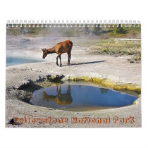 Yellowstone National Park Wall Calendars