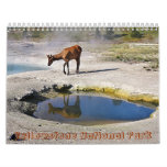 Yellowstone National Park calendars