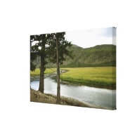 yellowstone national park canvas print