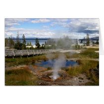 Yellowstone National Park cards