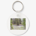 Yellowstone National Park keychains