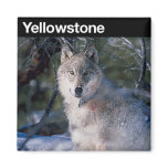 Yellowstone National Park Fridge Magnet