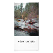 Yellowstone National Park Photo Card