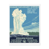 Yellowstone National Park Post Card
