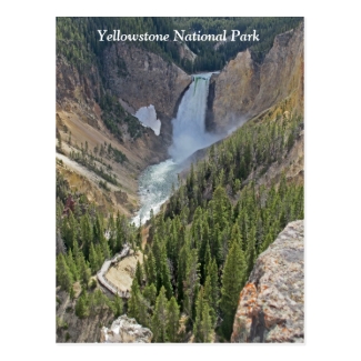 Yellowstone National Park Scenic View Postcard
