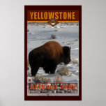 Yellowstone Nat'l Park posters