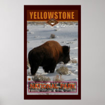 Yellowstone Nat'l Park Poster
