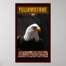 Yellowstone Nat'l Park Posters
