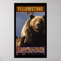 Yellowstone Nat'l Park Poster