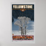 Yellowstone Nat'l Park posters