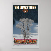 Yellowstone Nat'l Park Posters