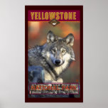 Yellowstone Nat'l Park posters