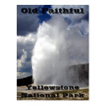 Yellowstone Old Faithful Postcard