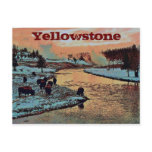 Yellowstone Postcard