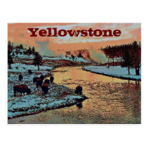 Yellowstone Postcard