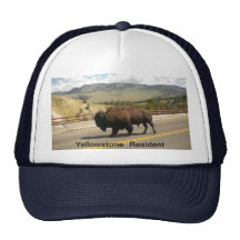 Yellowstone Resident  Hat