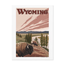 Yellowstone River Bison Vintage Travel Poster Post Card