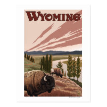 Yellowstone River Bison Vintage Travel Poster Post Card