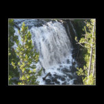 Yellowstone Waterfall Postcard