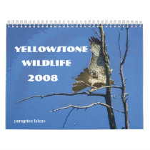 Yellowstone Wildlife 2008 Calendar