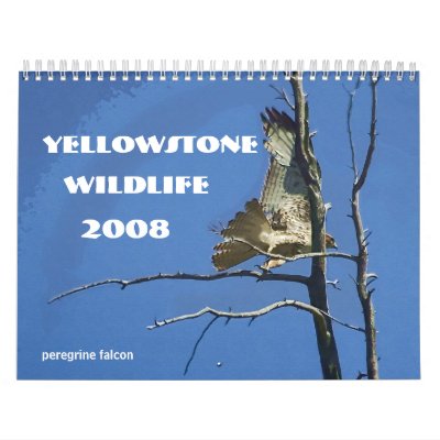 Yellowstone Wildlife 2008 Calendar by mrsmas