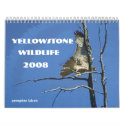Yellowstone Wildlife 2008 Calendar by mrsmas Yellowstone Wildlife 2008 Calendar