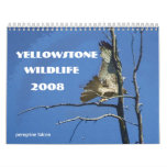 Yellowstone Wildlife 2008 Calendar