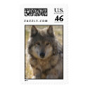 Yellowstone Wolf postage