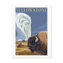YellowstoneBison with Old Faithful Postcard