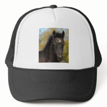 Yes? Mesh Hat